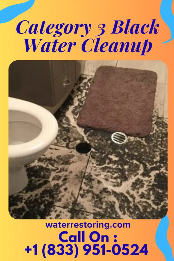 Category 3 Black Water Cleanup in Midland, MI
