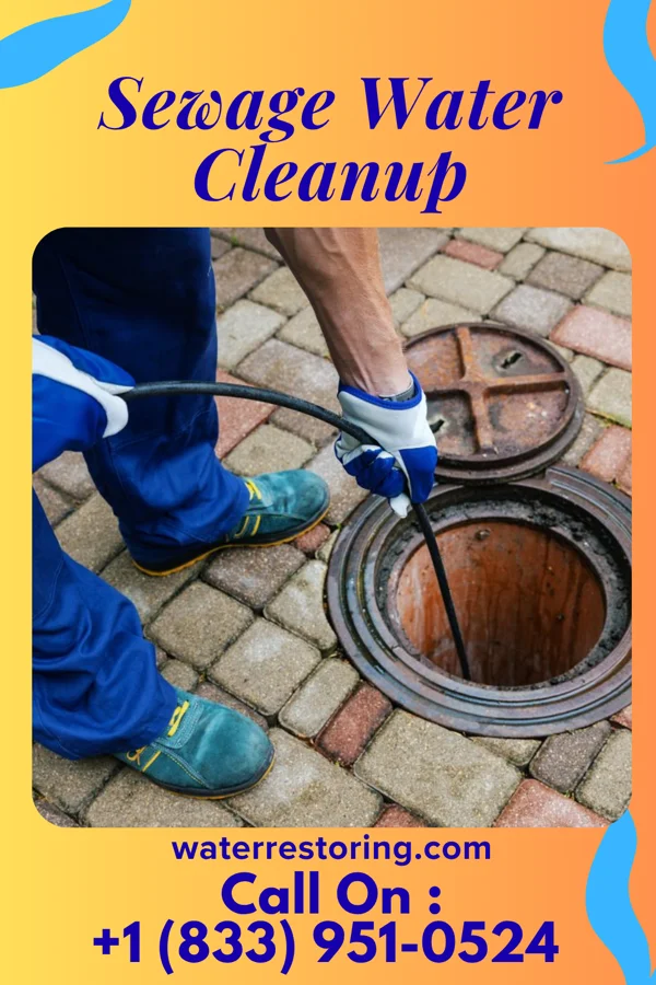 Sewage Water Cleanup in Midland, MI