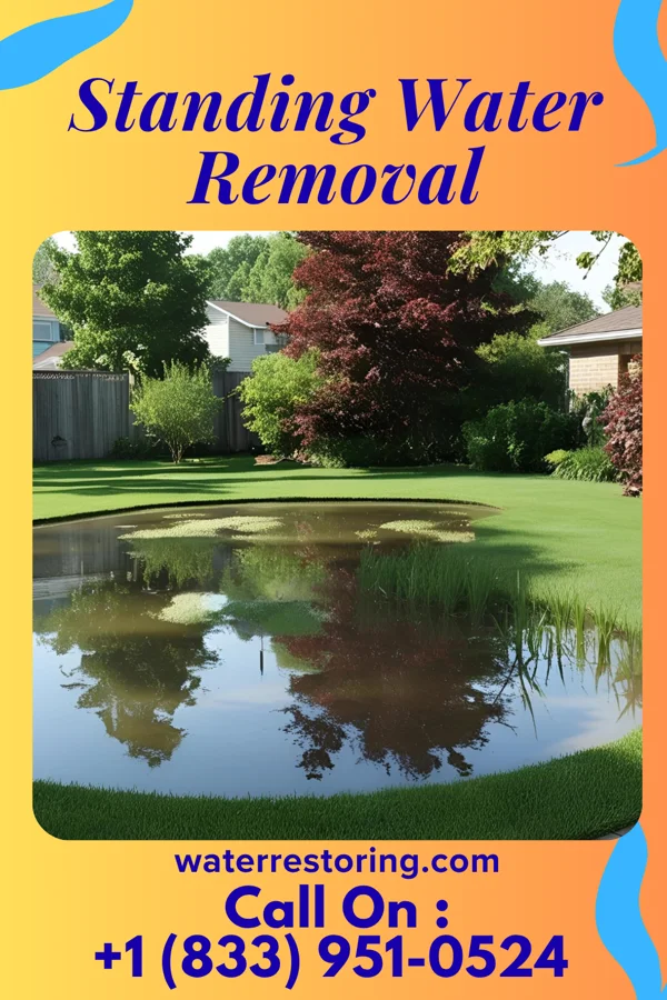 Standing Water Removal in Midland, MI